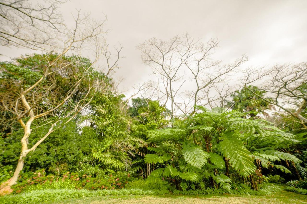 Birds Of Paradise B&B Eshowe Exterior photo